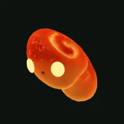 QUIBOSSA